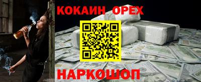 mdpv Гатчина
