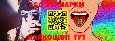 дмт Гай