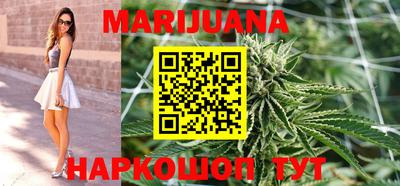 mdpv Гатчина