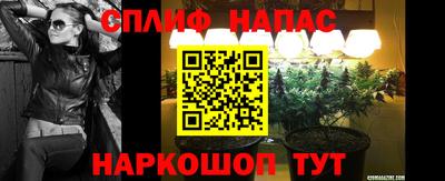 дмт Гай