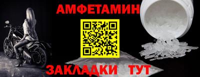 дмт Гай