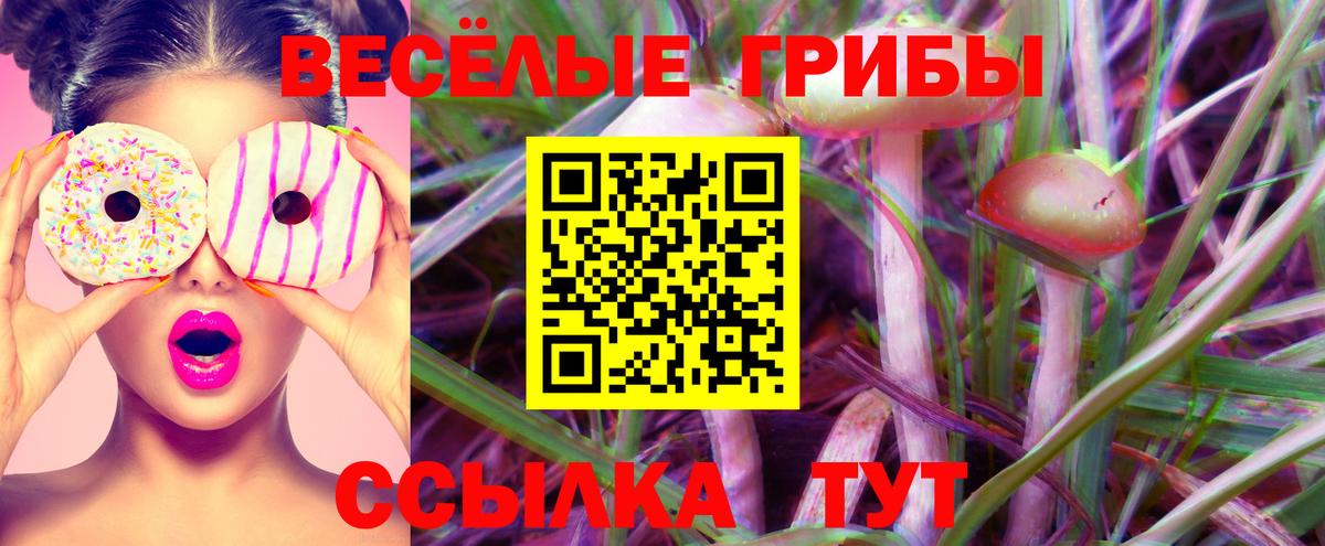 Псилоцибиновые грибы Cubensis Миасс