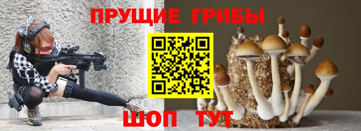 купить закладку  Псилоцибиновые грибы Psilocybine cubensis  Вход с VPN  Галлюциногенные грибы Psilocybe  Миасс 